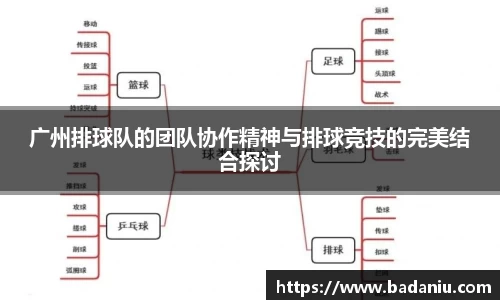 广州排球队的团队协作精神与排球竞技的完美结合探讨