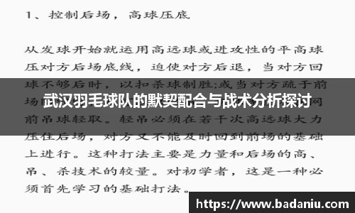 武汉羽毛球队的默契配合与战术分析探讨