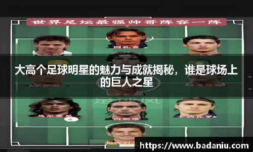大高个足球明星的魅力与成就揭秘，谁是球场上的巨人之星