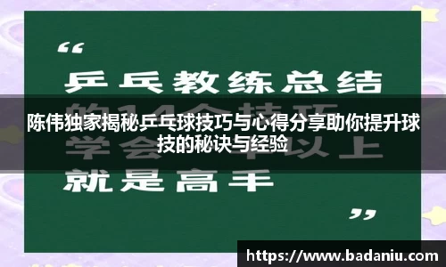 陈伟独家揭秘乒乓球技巧与心得分享助你提升球技的秘诀与经验